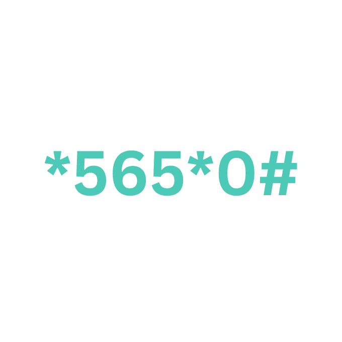BVN Query (USSD)